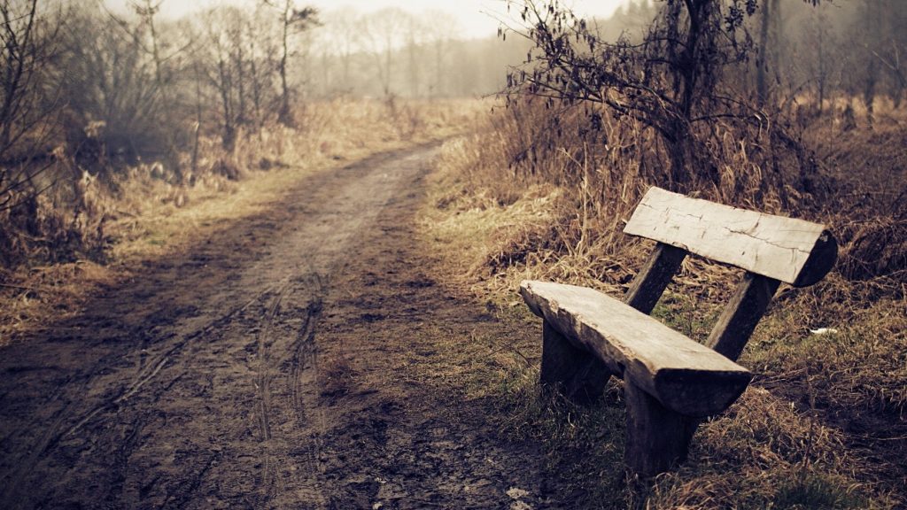 Empty bench.